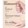 DERMAL Herb Collagen Essence Facial Mask Sheet 23g Pack of 10 – Skin Clear and Purifying, Pore Tightening, Calming for Oily Skin, Daily Skin Treatment Solution Sheet Mask(Snail)