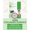 DERMAL Herb Collagen Essence Facial Mask Sheet 23g Pack of 10 – Skin Clear and Purifying, Pore Tightening, Calming for Oily Skin, Daily Skin Treatment Solution Sheet Mask(Herb)