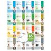 DERMAL Korean Collagen Face Mask 32 Combo Pack A+B Set – Hydrating & Soothing Sheet Mask with Panthenol, Hypoallergenic Calming Moisture Care for All Skin Types(Set A 16 Colors)