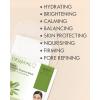 DERMAL Anti-Aging Collagen Essence Masks Assorted Sheet Mask Mega 10 Pack – The Ultimate Supreme Collection for Every Skin Condition Day to Day Skin Concerns. Nature-made Freshly Korean Face Mask