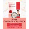DERMAL Collagen Essence Facial Mask Sheet 23g Pack of 10 – Moisturizing & Firming, Anti Wrinkle, For Healthy Dewy Skin, Daily Skin Treatment Solution Sheet Mask(Rose Collagen)